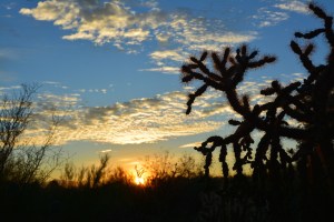 sunsettucson