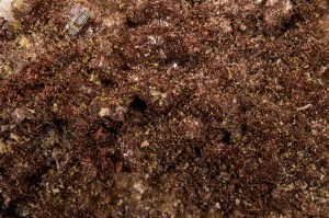 hewettite.hummermine.uravan