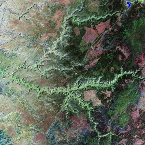 cdchelly_l7_2000256_lrg